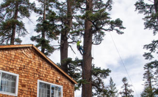 Clearing the way for safer, more reliable service in Meyers